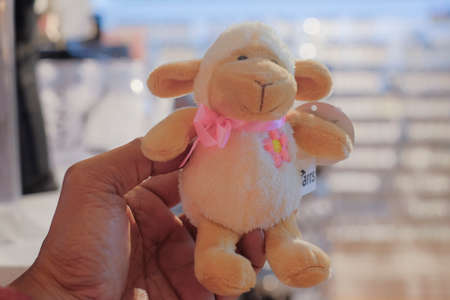 Christchurch, New Zealand â December 19th, 2017 : Sheep souvenir in DP Souvenir shop in Christchurch, New Zealand.のeditorial素材