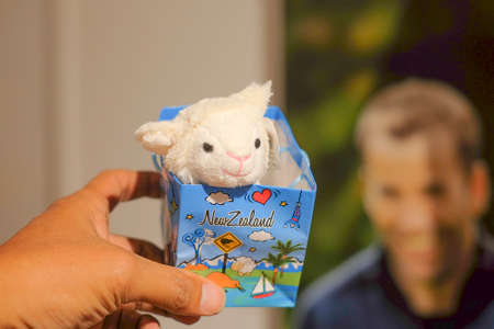 Christchurch, New Zealand â December 19th, 2017 : Sheep souvenir in DP Souvenir shop in Christchurch, New Zealand.のeditorial素材