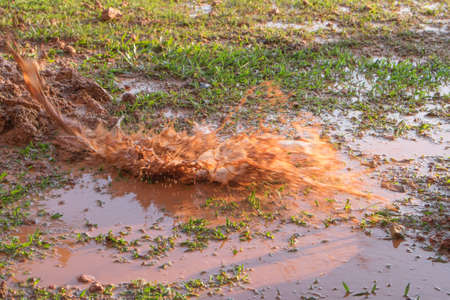 Blur water  splash on the grassの写真素材