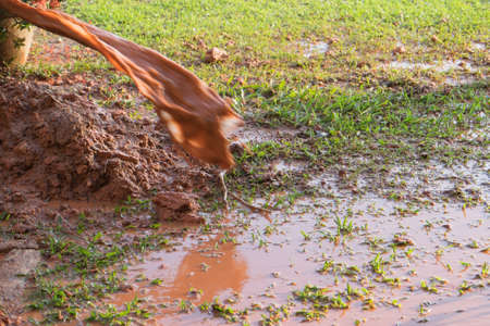 Blur water  splash on the grassの写真素材