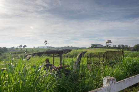 Muadzam Shah, Malaysia  Disember 6th  , 2017 :  Tractor mowing pasture for silage at The First Dairy Farm Sdn Bhd, Muadzam Shah, Pahang, Malaysia.のeditorial素材