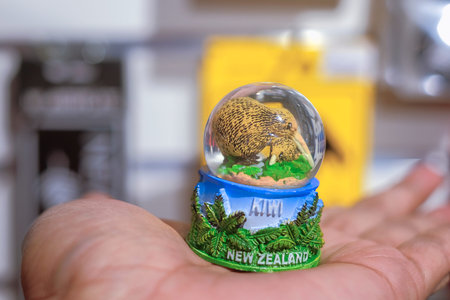 CHRISTCHURCH , NEW ZEALAND - DECEMBER 19th ,2017 : Man holding kiwi souvenir for sale in DF...