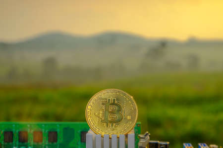 Bitcoin with a motherboard, Golden Bitcoin Cryptocurrency on computer circuit board with blurred green nature while sunrise. The concept of cryptocurrency. Blockchain technology.の写真素材
