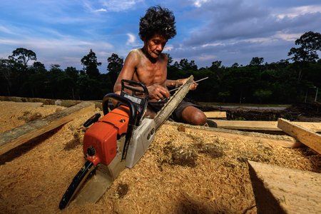 Muadzam Shah, Malaysia - 8 September 2018 : Unidentified  timber workers sharpened the chainsaws...