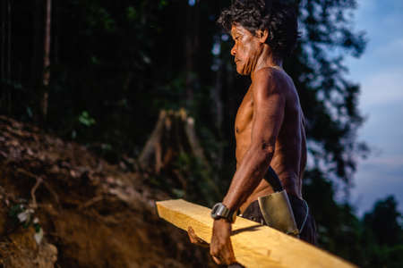 Muadzam Shah, Malaysia - 8 September 2018 : Unidentified man woodcutter cutting wood timber logs. He using a gasoline engine chainsaw as a main tool.のeditorial素材