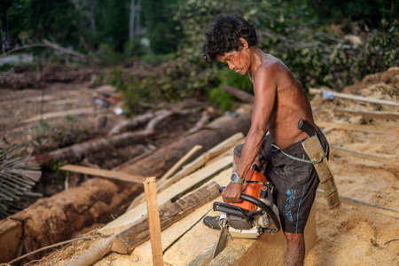 Muadzam Shah, Malaysia - 8 September 2018 : Unidentified man woodcutter cutting wood timber logs. He using a gasoline engine chainsaw as a main tool.のeditorial素材