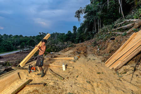 Muadzam Shah, Malaysia - 8 September 2018 : Unidentified timber workers raised the already cut timber near the forestのeditorial素材