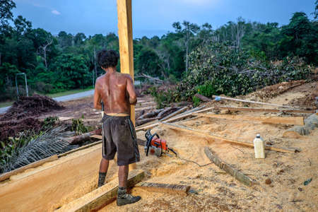 Muadzam Shah, Malaysia - 8 September 2018 : Unidentified timber workers raised the already cut timber near the forestのeditorial素材