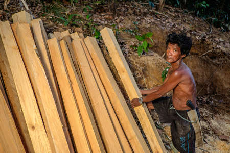 Muadzam Shah, Malaysia - 8 September 2018 : Unidentified timber workers raised the already cut timber near the forestのeditorial素材