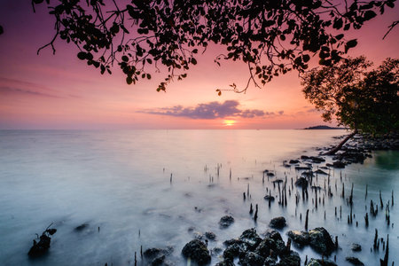 A scenery of sunset with amazing unique rock and beautiful mossy  at Bukit Batu beach, Senggarang,...