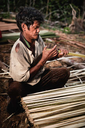 Muadzam Shah, Malaysia - March 12th, 2019 : Men of the Orang Asli split Kayu  Bertam using a knife. Bertam is a kind of palm tree found in Malaysian and Thai . His botanical name Eugeissona tristis.のeditorial素材