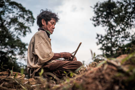 Muadzam Shah, Malaysia - March 12th, 2019 : Men of the Orang Asli split Kayu  Bertam using a knife. Bertam is a kind of palm tree found in Malaysian and Thai . His botanical name Eugeissona tristis.のeditorial素材