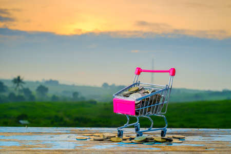 Mini supermarket shopping cart and coins on blurred green nature background with beautiful  sunriseの写真素材
