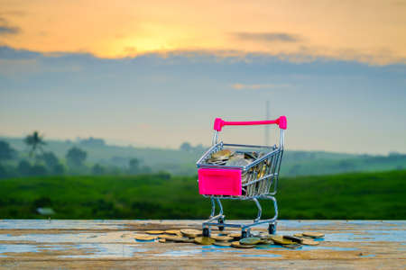 Mini supermarket shopping cart and coins on blurred green nature background with beautiful  sunriseの写真素材