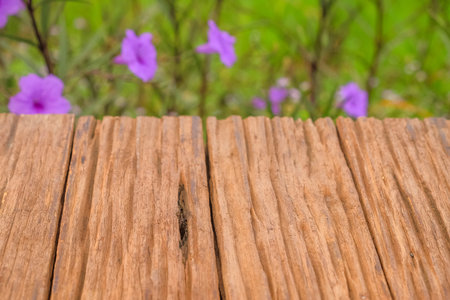 Background template for a presentation wooden table surface and blurred leaves of a tree in the background on a summer sunny dayの写真素材