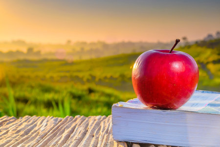 Red apple and book on wooden table  in the morning during sunrise with green farm and beautiful...