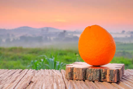 Orange  on wooden table  in the morning during sunrise with green farm and beautiful sunriseの写真素材