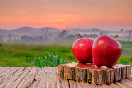 Red apple on wooden table  in the morning during sunrise with green farm and beautiful sunriseの写真素材
