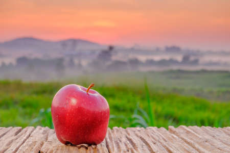 Red apple on wooden table  in the morning during sunrise with green farm and beautiful sunriseの写真素材