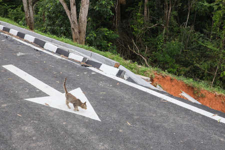Drain damage. Soil erosion or landslide  in the slope  during  the rainy season at Muadzam Shah, Malaysia.の写真素材