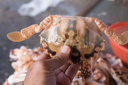 Man holding fresh crab in the msrketの写真素材