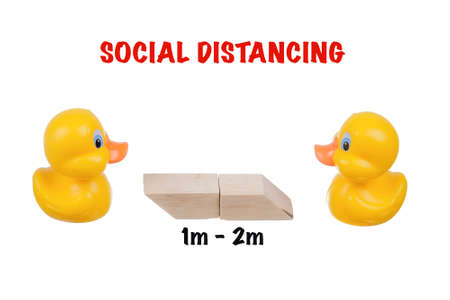 Yellow ducks with social distancing wood blocks  isolated over white background. Virus outbreak prevention using unique rubber duck concept.の写真素材