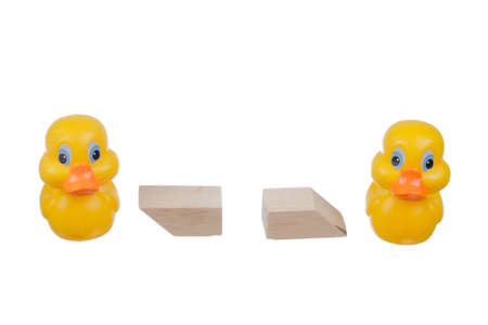 Yellow ducks with social distancing wood blocks  isolated over white background. Virus outbreak prevention using unique rubber duck concept.の写真素材