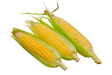 Fresh corn isolated on white background.
