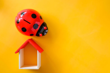 Ladybug piggy bank  , cake and mini house on yellow backgroundの写真素材