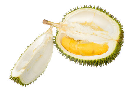 Durian king of fruit isolated on white background