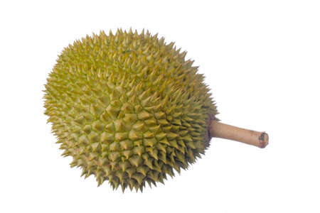 Durian king of fruit isolated on white backgroundの写真素材