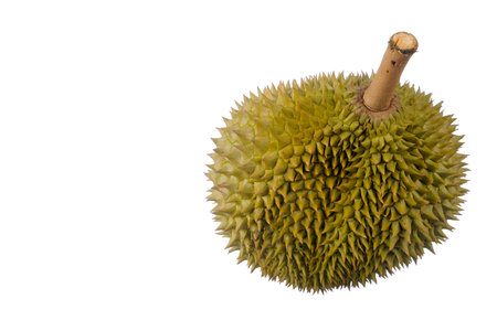 Durian king of fruit isolated on white background
