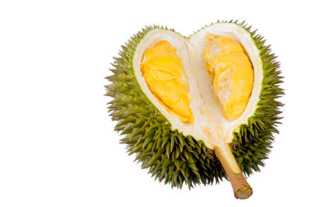 Durian king of fruit isolated on white backgroundの写真素材