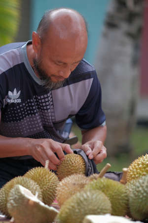 Muadzam Shah, Malaysia - July 1st ,2020:  Happy asian men enjoy eating durian fruit with thier friends.のeditorial素材