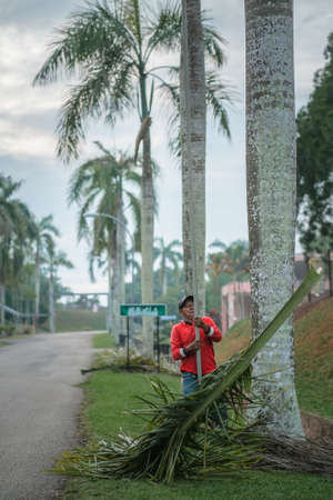 Muadzam Shah, Malaysia- July 9th, 2020:  A man cutting leaves of palm using spadeのeditorial素材