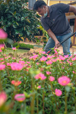 Muadzam Shah, Malaysia - October 14th,2020:  Workers digging hole for stump concrete foundation holderのeditorial素材