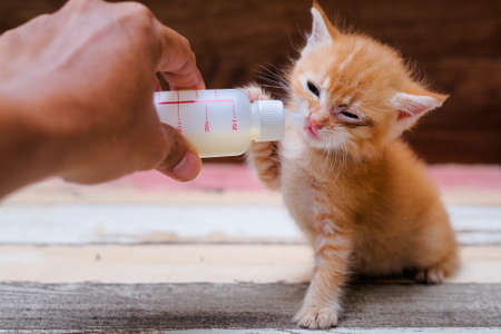Little redhead  with a sick eye drinks  milk in  a bottle sitting on a wooden table .の写真素材