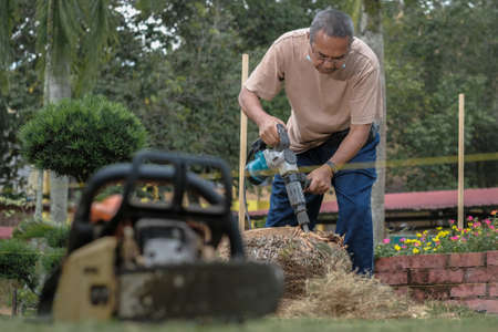 Muadzam Shah, Malaysia - October 14th,2020:  Workers  clean tree trunk of a cut down palm treeのeditorial素材