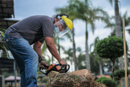 Muadzam Shah, Malaysia - November 16th, 2020 : A view of man using a chainsaw to cut down palm treeのeditorial素材