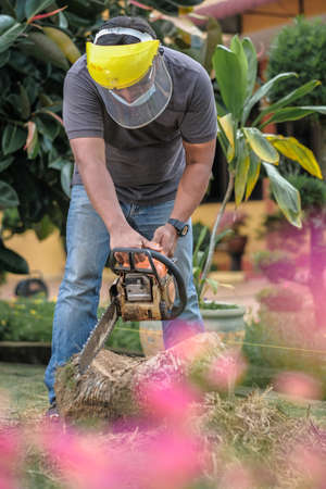 Muadzam Shah, Malaysia - November 16th, 2020 : A view of man using a chainsaw to cut down palm treeのeditorial素材