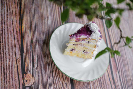 Blueberry cake on white plateの写真素材