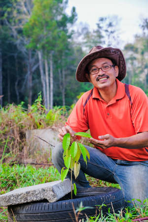 Gardener inspect durian trees in durian orchards in sunny day.の写真素材