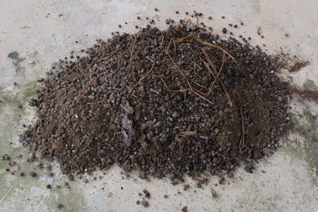 Recycling organic biodegradable material and household waste in composter. Best organic fertilizer.