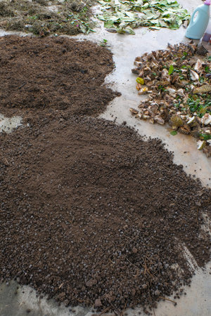 Recycling organic biodegradable material and household waste in composter. Best organic fertilizer.