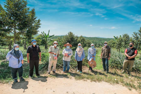 Muadzam Shah, Malaysia - October 6th, 2021 : Monitoring visit by agricultural officers from the biosecurity division at durian and pineapple orchards in Muadzam Shahのeditorial素材