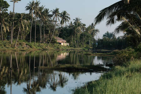 Homemade waffels with vanilla icecream.の写真素材