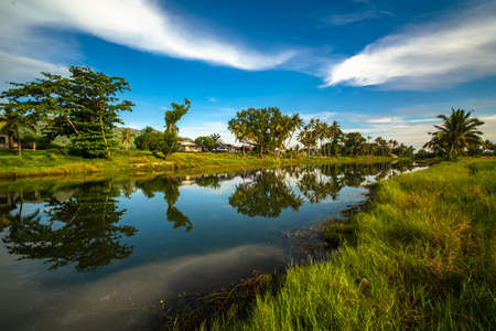 Coconut tree reflect shadow on surface of river beautiful sky in Beserah, Malaysia .の写真素材