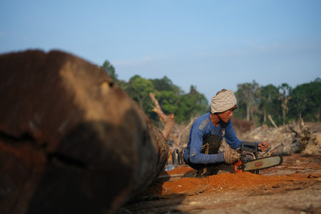 Kuantan, Malaysia - September 18th, 2022 : A lumberjack working without safely equipment protection  in Kuantan.のeditorial素材