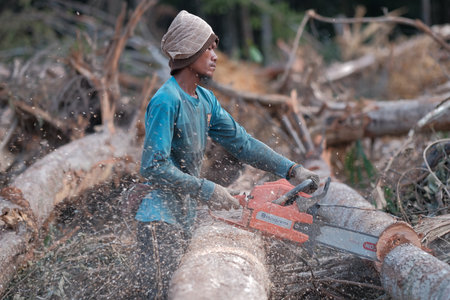Kuantan, Malaysia - August 11th, 2022 : A lumberjack working without safely equipment protection  in Kuantan.のeditorial素材