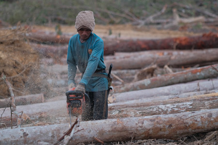 Kuantan, Malaysia - August 11th, 2022 : A lumberjack working without safely equipment protection  in Kuantan.のeditorial素材